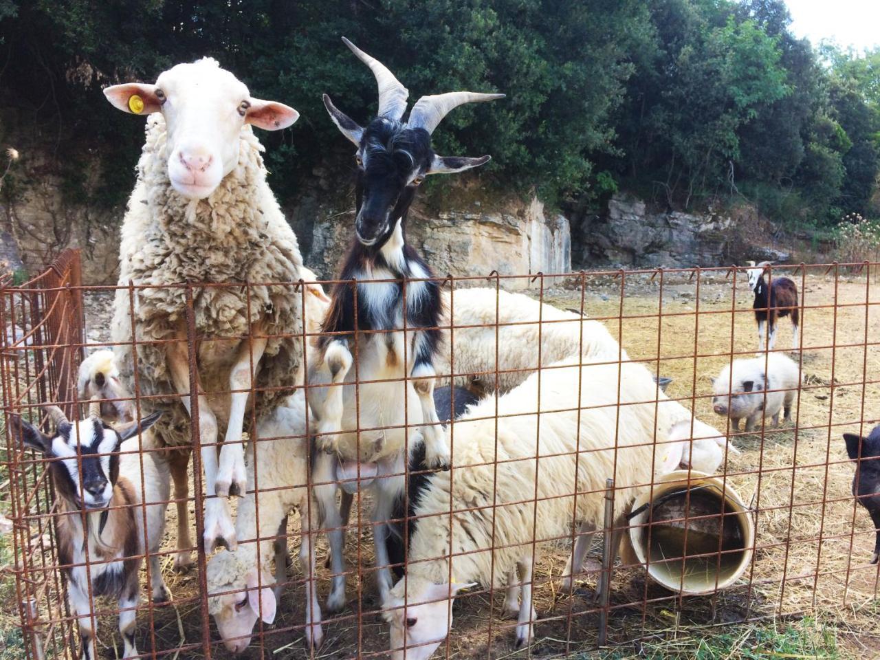 Agriturismo Eco-Bio Belmonte Vacanze مونتايون المظهر الخارجي الصورة