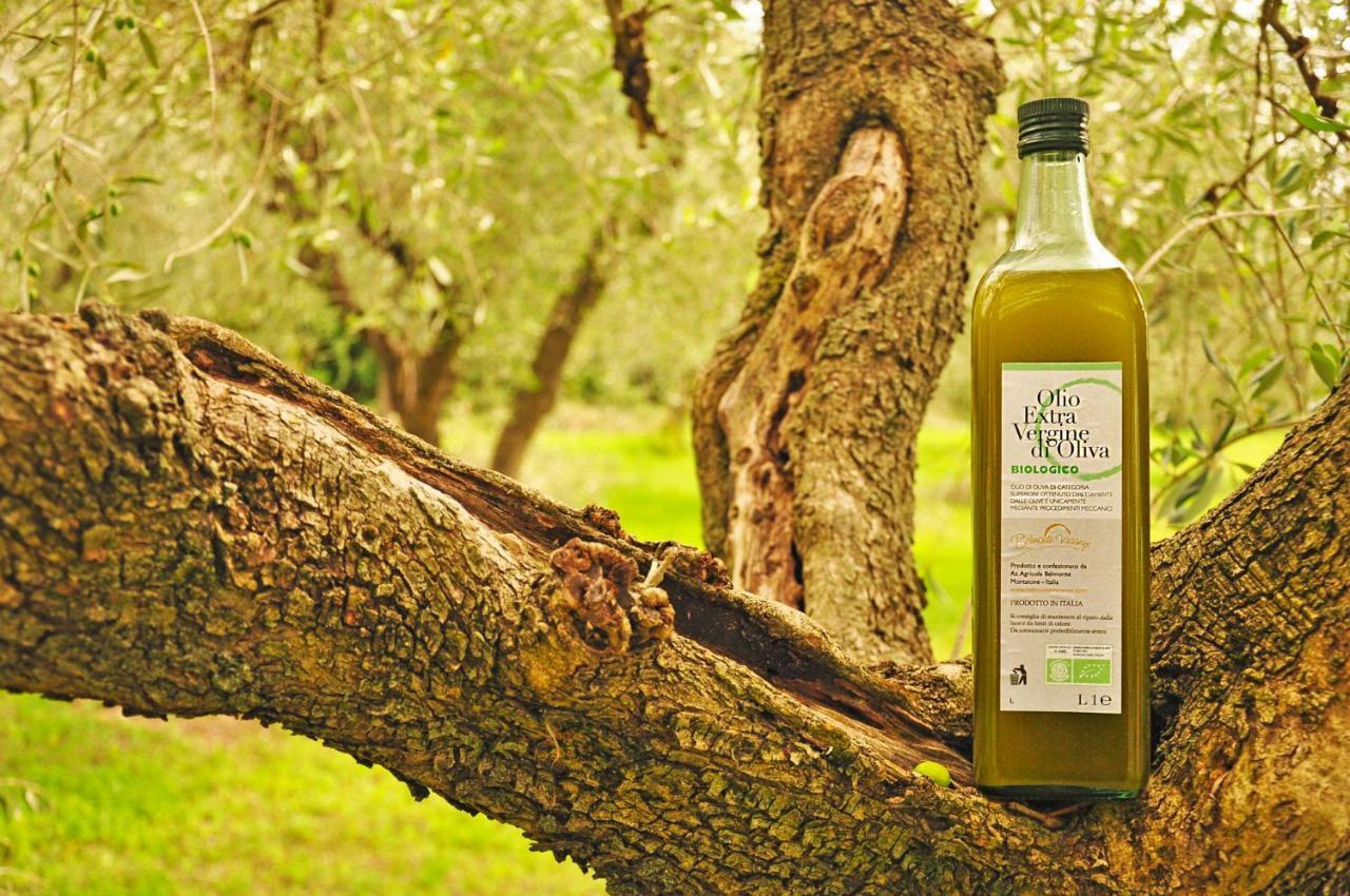 Agriturismo Eco-Bio Belmonte Vacanze مونتايون المظهر الخارجي الصورة